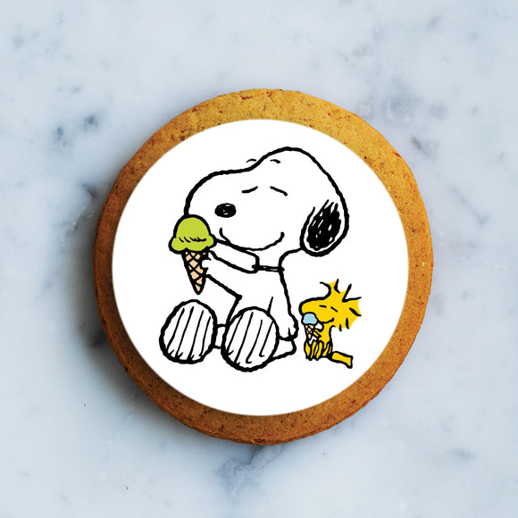 Snoopy Schlaumeier